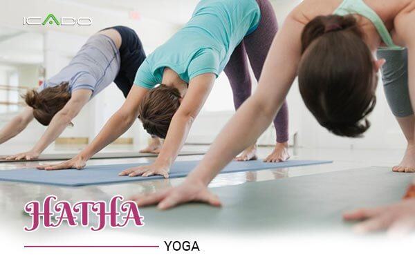 Trường phái hatha yoga