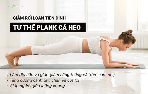 Tư thế plank cá heo