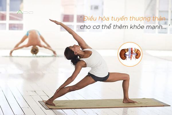 Và tập yoga sẽ giúp cơ thể chúng ta giảm được hormone cortisol này, thật đáng mừng.