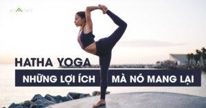 Tìm hiểu về trường phái Hatha yoga, những lợi ích mà nó mang lại