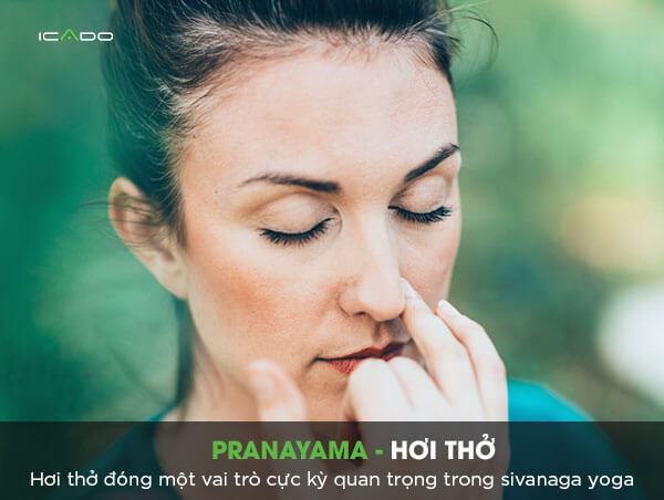 Hơi thở – Pranayama