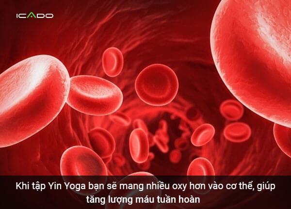 Yin yoga giúp tăng cường lưu thông máu