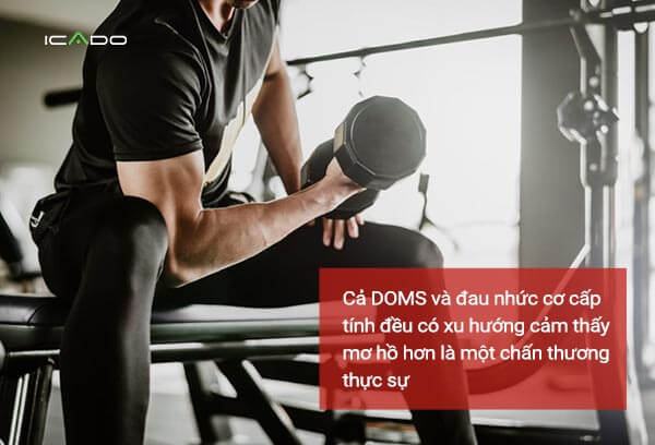 Đau cơ cấp tính ám chỉ tình trạng bỏng rát mà bạn đang cảm thấy khi tập gym.