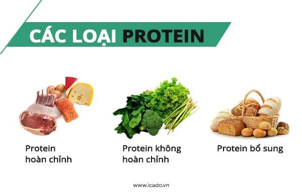 Có 3 loại protein: hoàn chỉnh, không đầy đủ và loại bổ sung.
