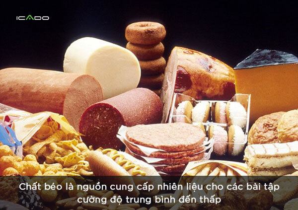 chất béo là nguồn cung cấp nhiên liệu cho các bài tập cường độ trung bình đến thấp.