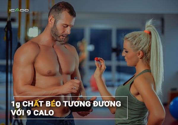 Cung cấp lượng năng lượng cao nhất trong số tất cả các chất dinh dưỡng