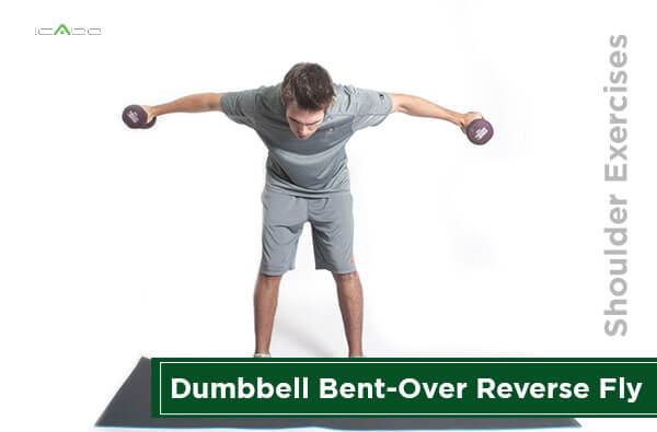 Một bài tập tuyệt vời khác để xây dựng cơ sau là Dumbbell Bent-Over Reverse Fly.