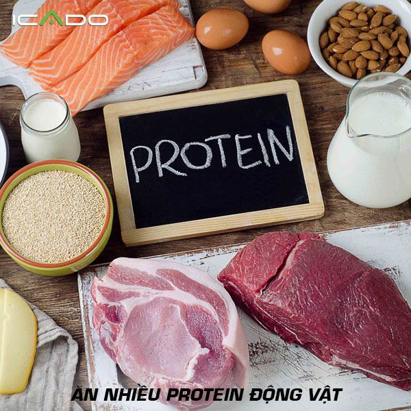 Bạn cần ăn nhiều protein từ thịt đỏ và trắng, cá và trứng